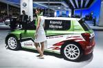 Skoda Fabia Super 2000 2010 года